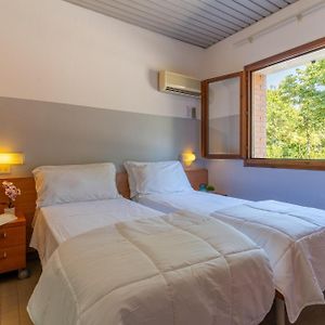 Animal Accepté Bungalow Confort